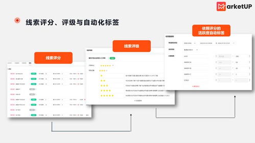 b2b企業cdp使用率低 看如何挖掘其最大價值