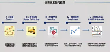 笨鳥與您同行 下篇 技術笨鳥 笨鳥匠心